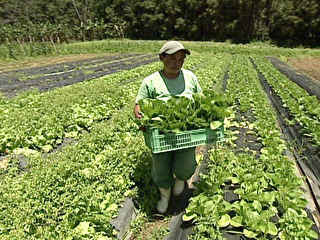 Aumento em uma potência de uma farmácia